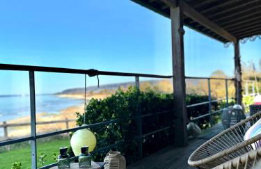 La sauvagine les pieds dans l'eau - Foto 12