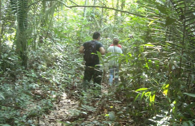 Tour por el Bosque Nacional de Tapajós - Foto 8