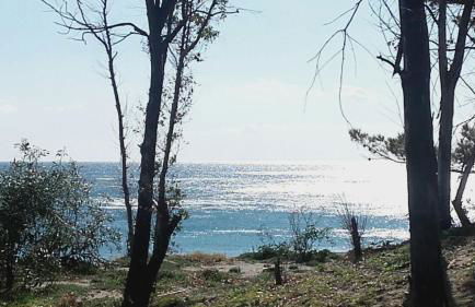 Casa Sole Mare - Foto 50