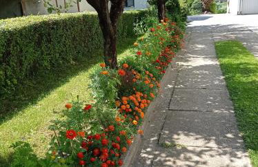 Apartman Škudar - Foto 26