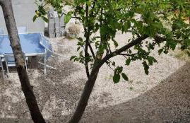 Le pommier - Foto 10