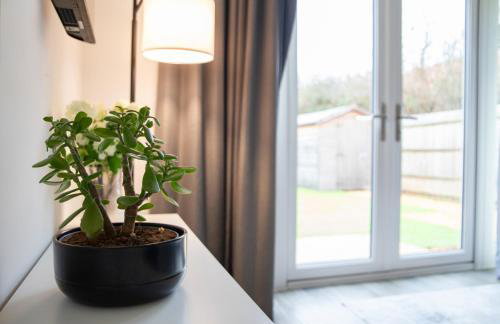 Stylish 2 Bedroom House - Village Location - Foto 10