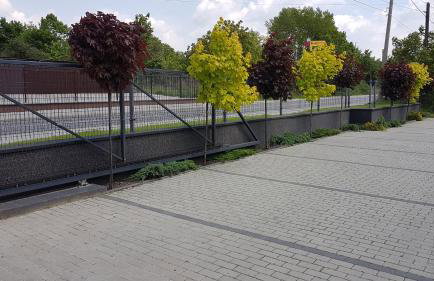 Apartament Angelo - Foto 8