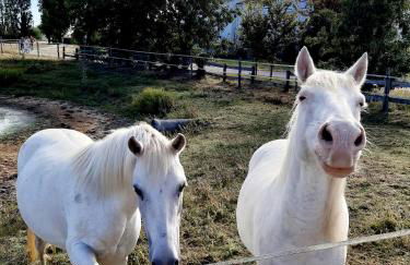 La Fleur des Marais - Maison tout confort au calme, grand jardin & balançoire - Foto 28