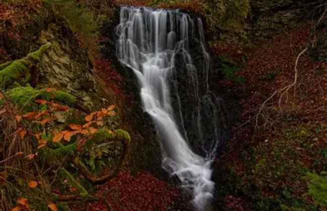 Ferienhaus in Wieda mit Garten - Foto 17