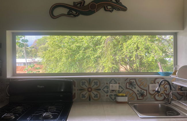 Morning Glory - Foto 17