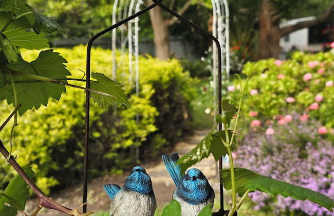 Jasmine's Cottage - Photo 30