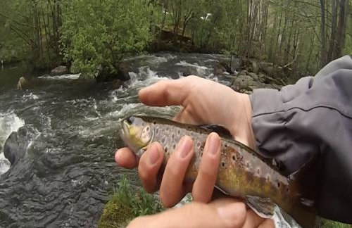 Moulin de Record - Foto 32