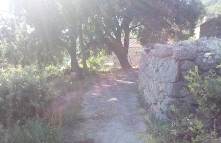 Cottage Melita the Apartment for Animal Lovers - Foto 51