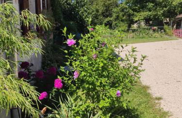 Gîte Chanay 80 m2 Tournus 2 chambres - Foto 28