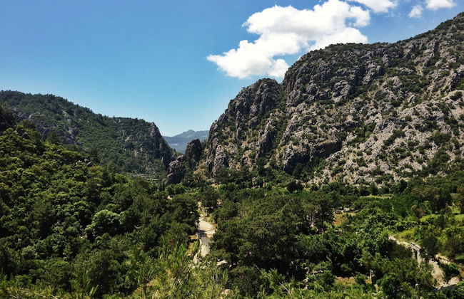 Kadir's Tree Houses - Photo 31