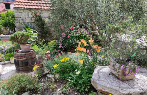 Apartment Bajama - Photo 18