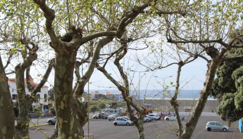 Beach & Surf - Photo 4