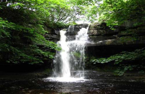 FLORA Luxury Retreat, Private Garden, Views & Hot Tub - Photo 39