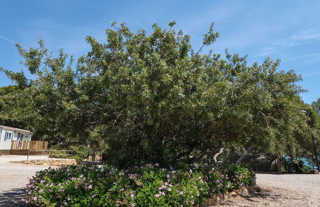 Beautiful Wooden Bungalow With Shared Pool - Foto 34