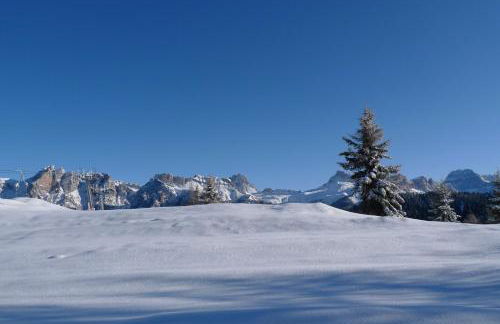 Appartamenti Regina - Foto 47