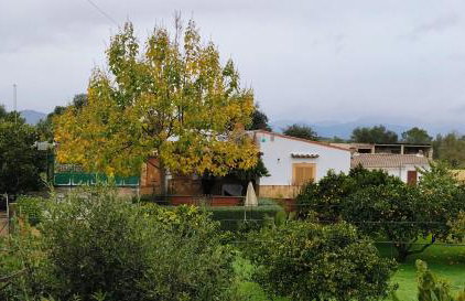 Sa Caseta - Photo 16