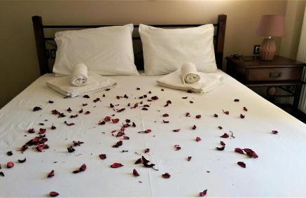 Maria's Rose Garden - Photo 19