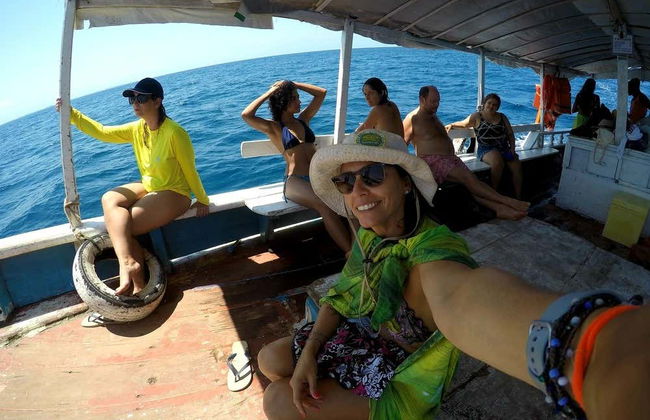 Avistamiento de ballenas en la isla de Boipeba - Foto 8