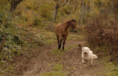 Tana di Zia Nature, Yourself, Love - Foto 60
