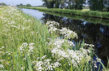 NEU! Ferienwohnung Zur Pusteblume - Foto 9