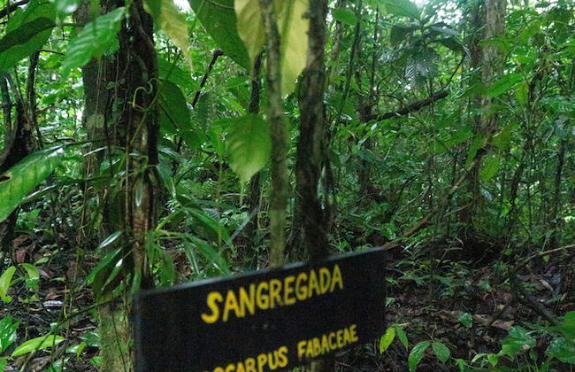 Oski Lodge - Foto 41