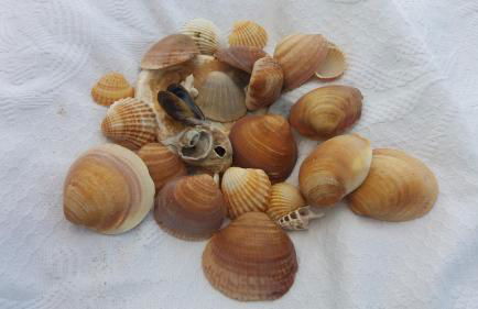 Los Balcones de Cádiz - Photo 32