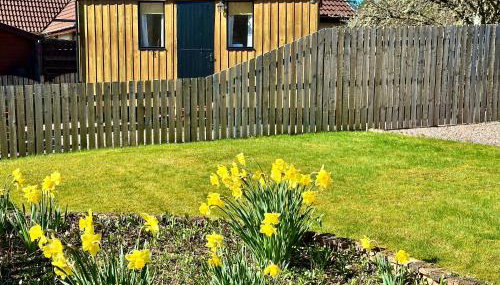 Per Ardua Shepherds Hut - Foto 3