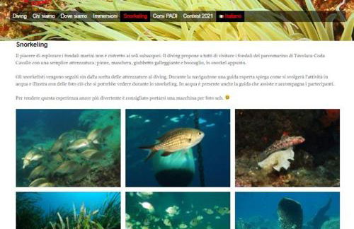 Vista Tavolara - Sardegna Holiday Apartment - Photo 66