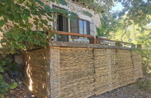 Dendrocopos Medius - Photo 6