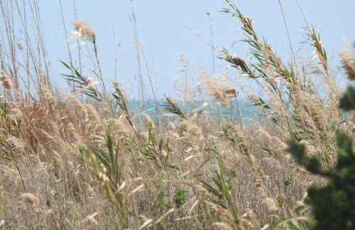 CAL GARRETA - Foto 15