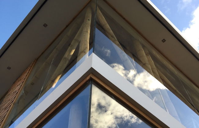 Bambu Sierra - Photo 56