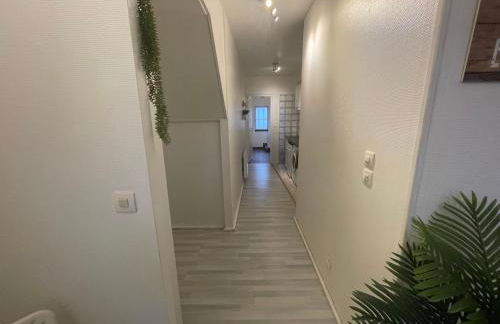 La Jungle de Tours - Photo 8