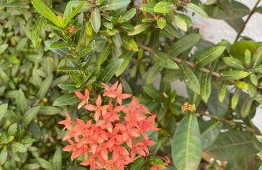 Refúgio Aconchegante em Araxá - Foto 23