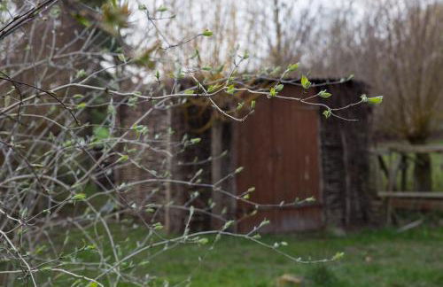 Goldhammer - Foto 15