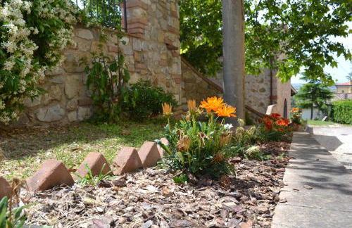 Agriturismo La Ghiraia - Foto 34