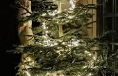 Haus Waldesruh - Foto 24