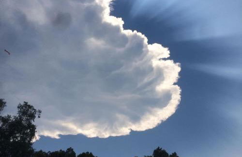 Ferienhaus Mülhaupt - Foto 13