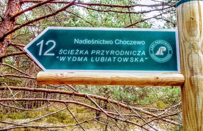 3 bedroom House in Choczewo with garden and terrace - Photo 16