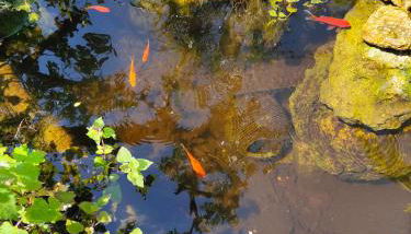 La Maison Bleue de Husseau Ancienne ferme semi-troglodytique 18e siècle - Photo 4