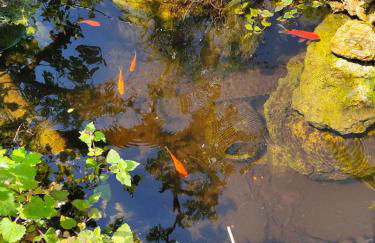 La Maison Bleue de Husseau Ancienne ferme semi-troglodytique 18e siècle - Foto 4
