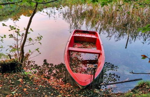 Ferienhaus Boitzenburger Land - Foto 25