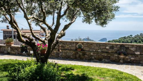 Casa Viva - Photo 4, Garden