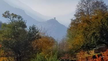 Le Sapin des Vuillermin CIR0080 - Photo 2