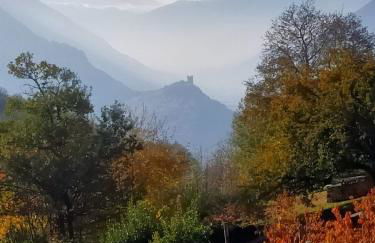 Le Sapin des Vuillermin CIR0080 - Photo 2