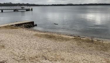 1 Zimmer Wohnung in Strand nähe - Foto 2