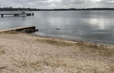 Sanierte 2-Zimmer Wohnung in strandnähe - Foto 7