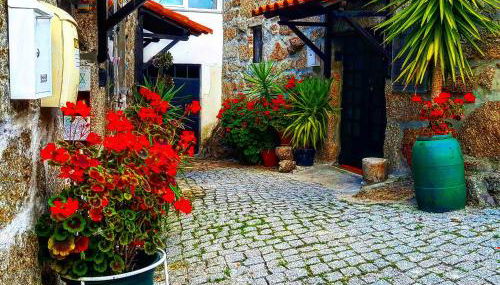 José Domingos - Foto 4