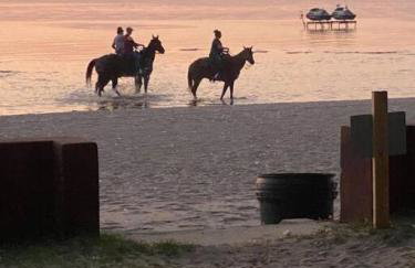 " The Penthouse" Historic Oneida Lakefront Condo 5 - Foto 2