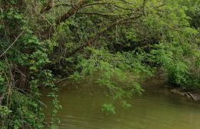 Agriturismo cavallin del papa - Foto 32